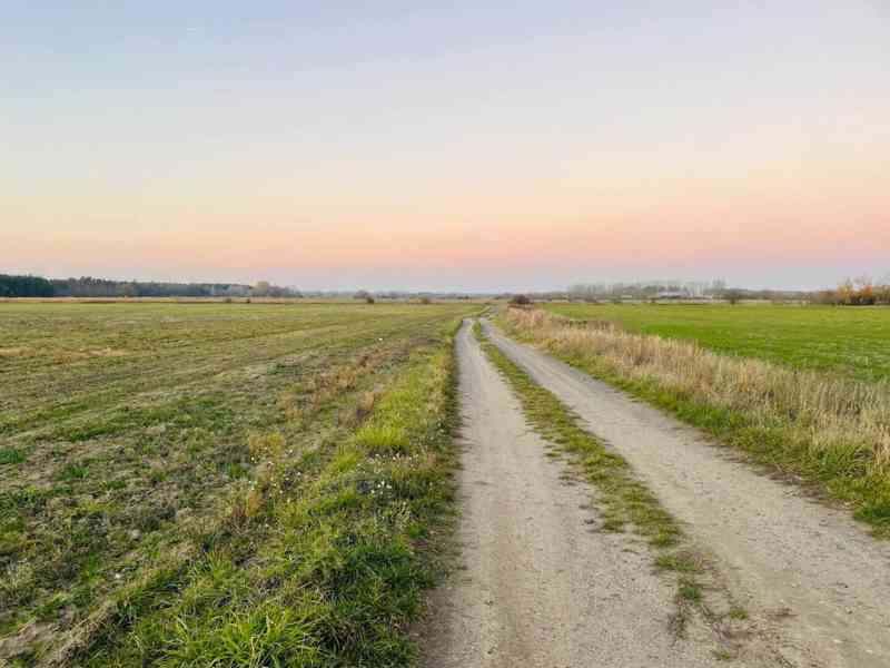 Veľký Pozemok 45 172 m² pri Malých Levároch - foto 4