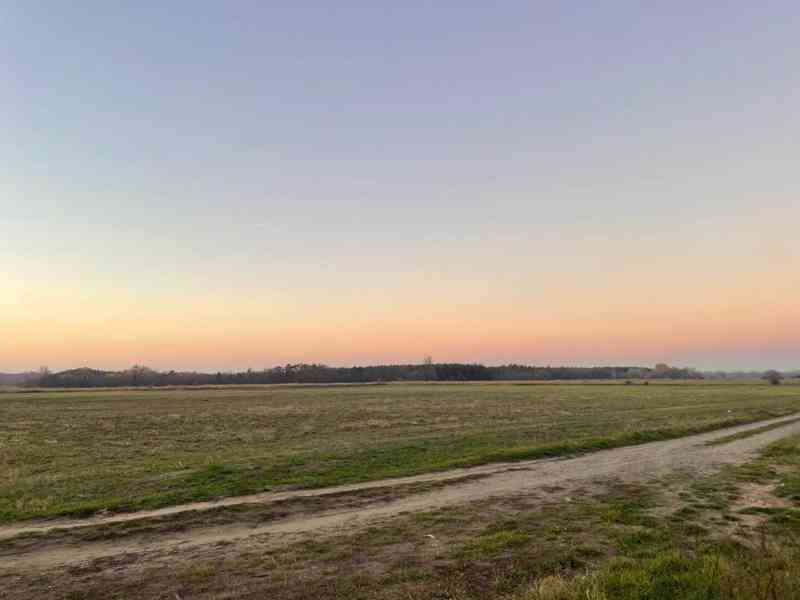 Veľký Pozemok 45 172 m² pri Malých Levároch - foto 8