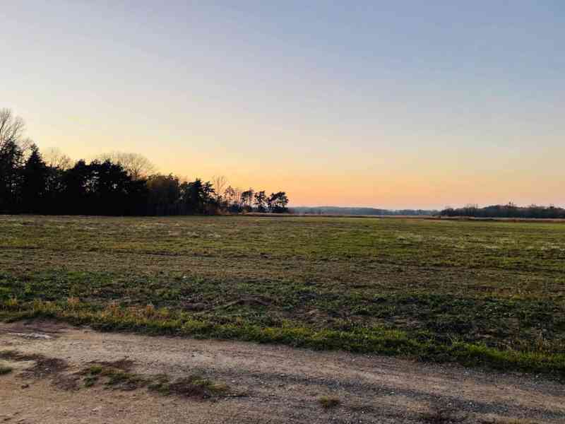 Veľký Pozemok 45 172 m² pri Malých Levároch - foto 2