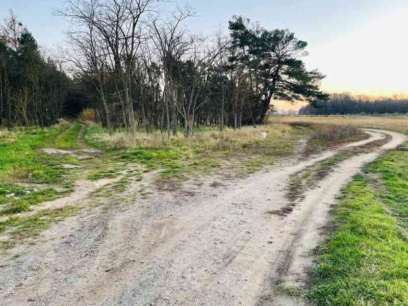 Veľký Pozemok 45 172 m² pri Malých Levároch - foto 3