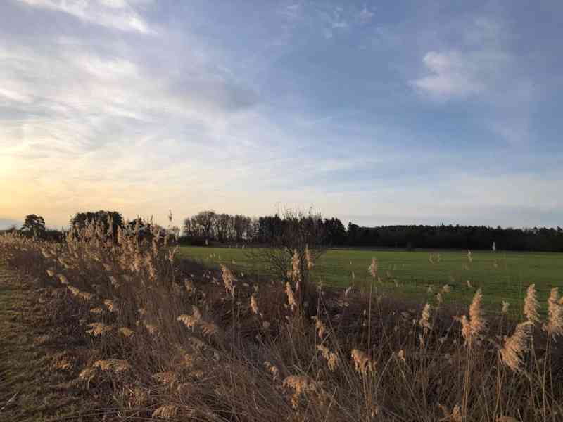 Veľký Pozemok 45 172 m² pri Malých Levároch - foto 16