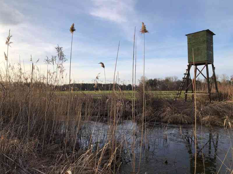 Veľký Pozemok 45 172 m² pri Malých Levároch - foto 12