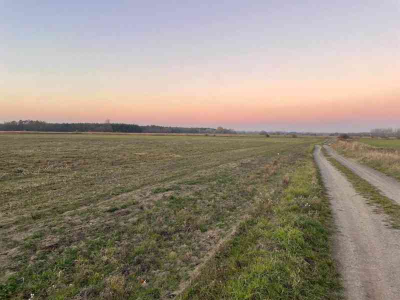 Veľký Pozemok 45 172 m² pri Malých Levároch - foto 9