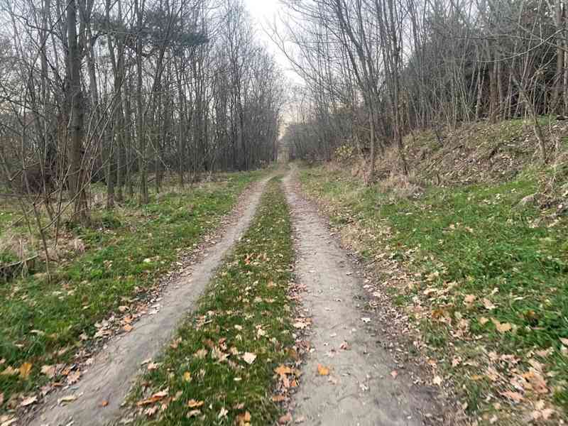 Veľký Pozemok 45 172 m² pri Malých Levároch - foto 10