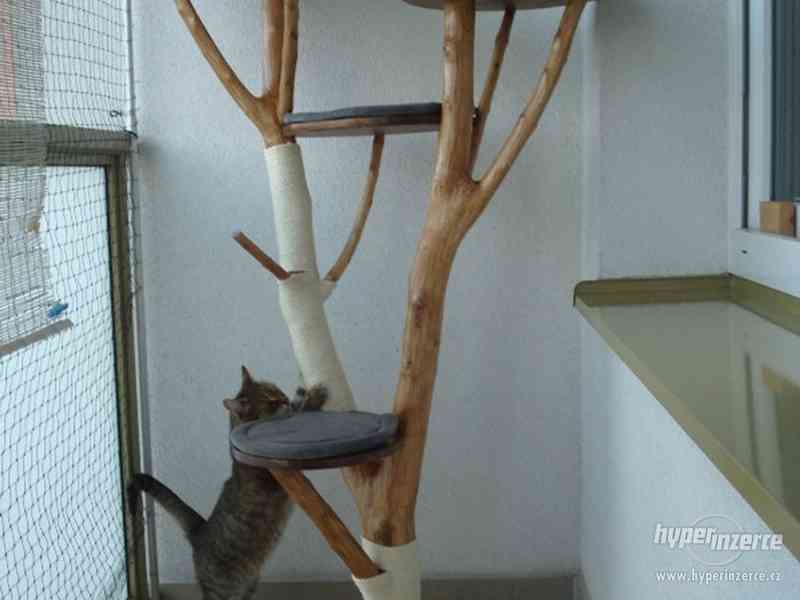 kočka/koťata/kočičí strom/škrabadlo/odpočívadlo - foto 17