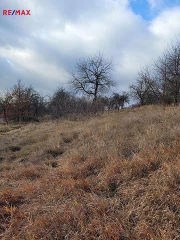 Prodej pozemku, travní porost, příjezdová komunikace. - foto 3