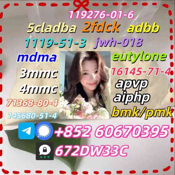 Safe delivery CAS 119276-01-6 China factory - foto 3