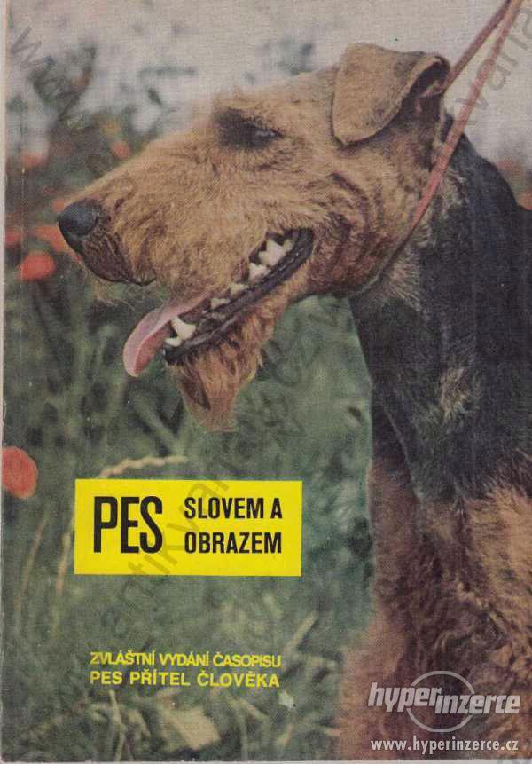 Pes slovem a obrazem 1973 - foto 1