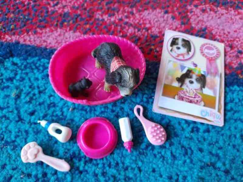 Nová Evička, Barbie s kočičkami a pejsky - foto 3