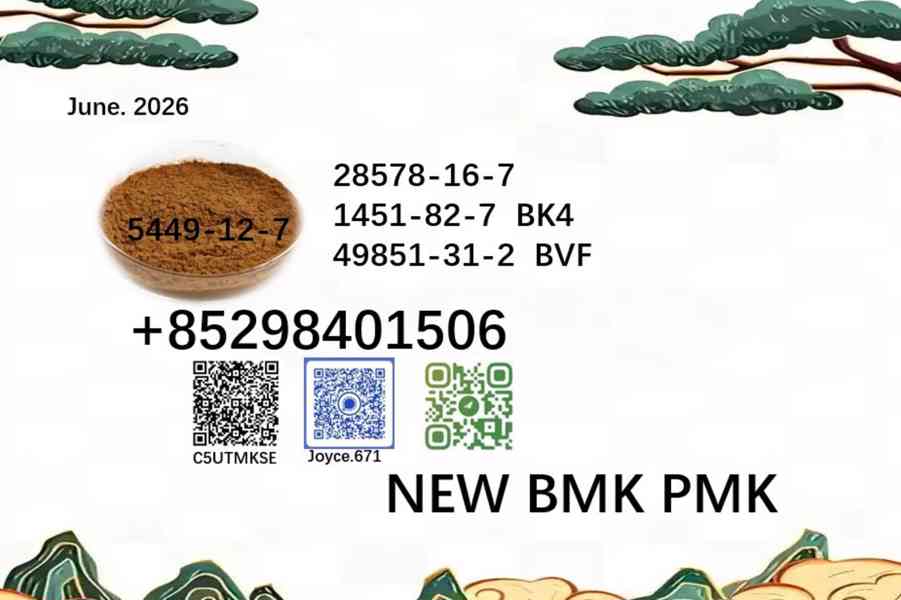5449-12-7 BMK glycidic acid sodium specialty chemicals bulk  - foto 1