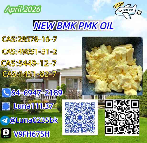 49851-31-2 and PM.K 28578-16-7 and B.MK - foto 3