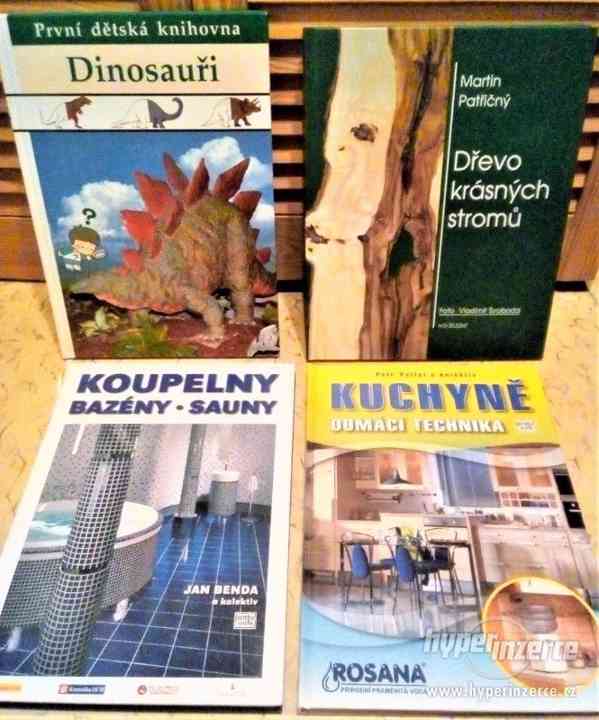 Loutky Hurvínek a Mánička a další HRAČKY, dekorace atd. - foto 85