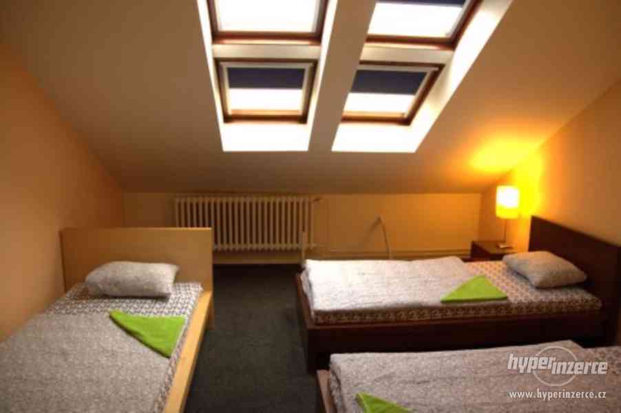 Hostel, pronájem bytu - foto 5