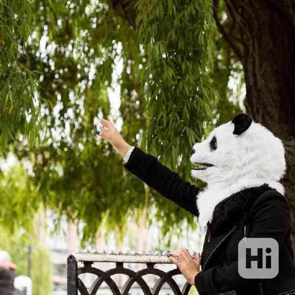 Prodám zvířecí (nebo masopustní) masku medvídka pandy 400 Kč - foto 3