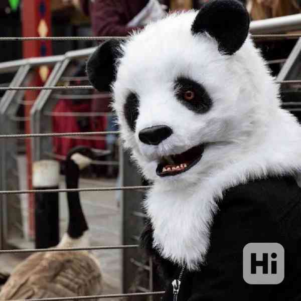 Prodám zvířecí (nebo masopustní) masku medvídka pandy 400 Kč - foto 2