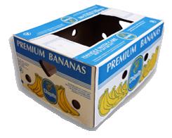 krabice, bedny od banánů - větší množství - foto 1