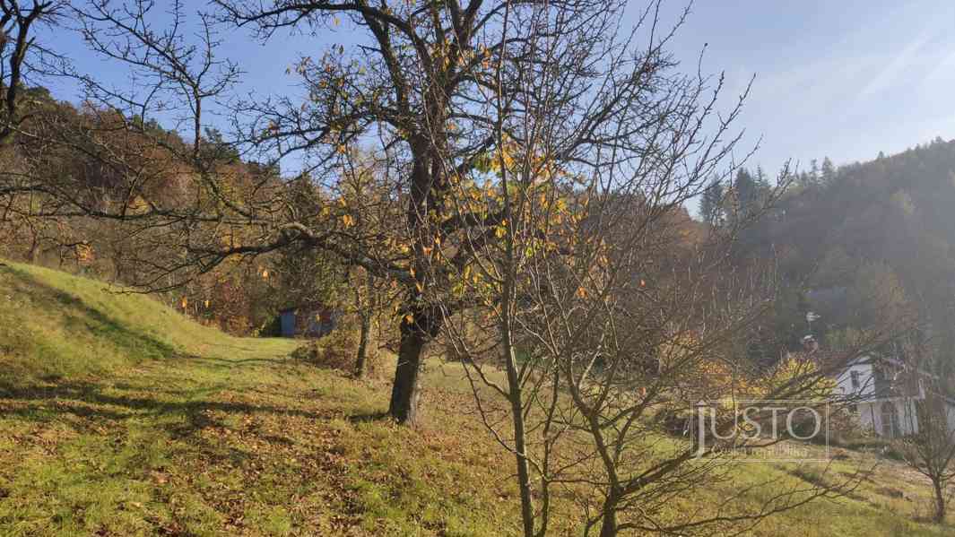 Prodej chaty se sadem, 5306 m², Koryčany - foto 3