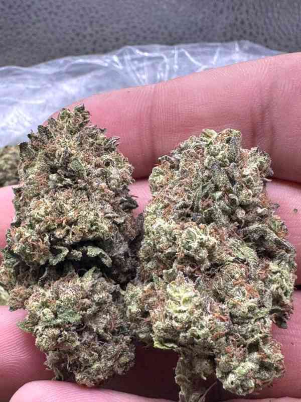 Telegram {@rey662} to get weed in Prague - foto 2