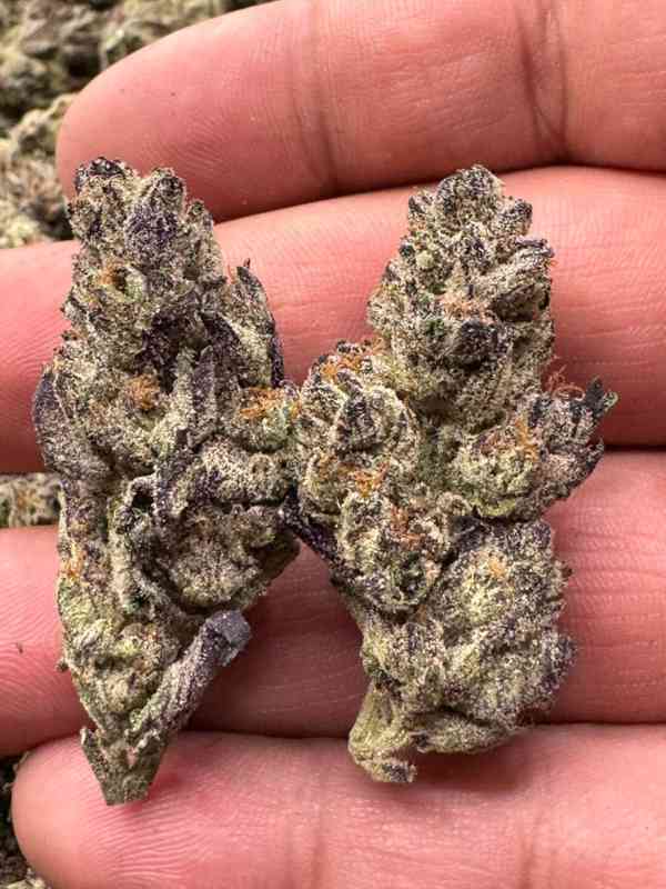 Telegram {@rey662} to get weed in Prague - foto 3