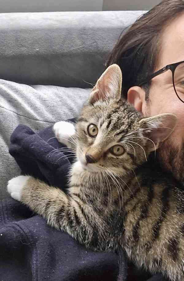 Koťata - zachráněná koťátka - foto 6