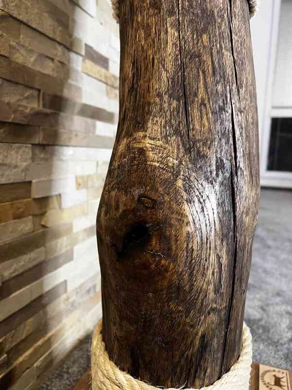 Kočičí strom  - foto 4