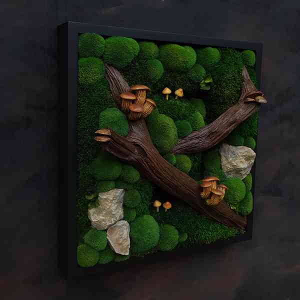 Mechový obraz / obraz ze stabilizovaného mechu - foto 3