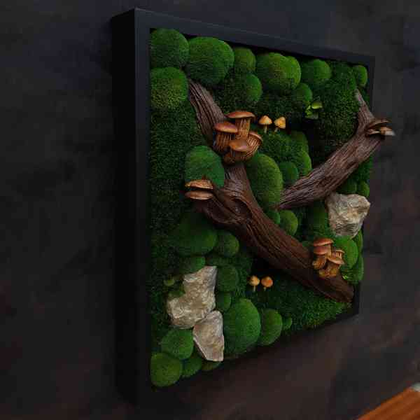 Mechový obraz / obraz ze stabilizovaného mechu - foto 4