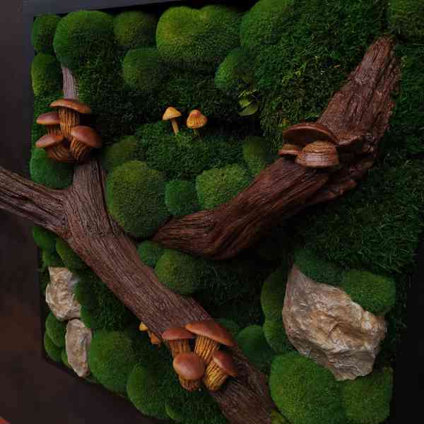 Mechový obraz / obraz ze stabilizovaného mechu - foto 5