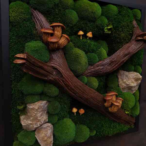 Mechový obraz / obraz ze stabilizovaného mechu - foto 6