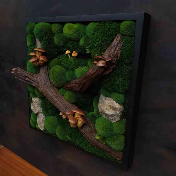 Mechový obraz / obraz ze stabilizovaného mechu - foto 2