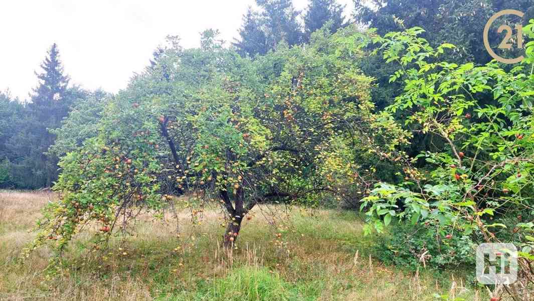 Prodej rekreační chaty na pozemku o celkové výměře 4799 m2 v Hrusicích - foto 5