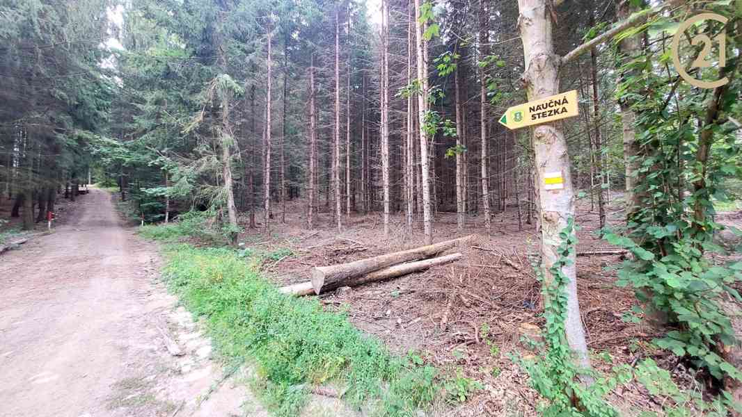 Prodej rekreační chaty na pozemku o celkové výměře 4799 m2 v Hrusicích - foto 11