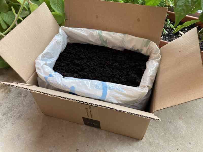 Kalifornské žížaly 200 ks za 250 Kč - foto 2