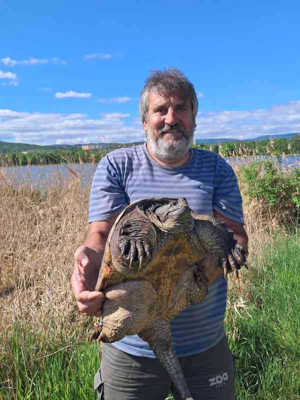 Kajmanka dravá - foto 2