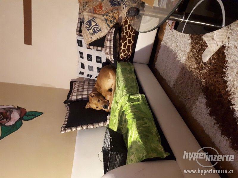 staford daruji - foto 1