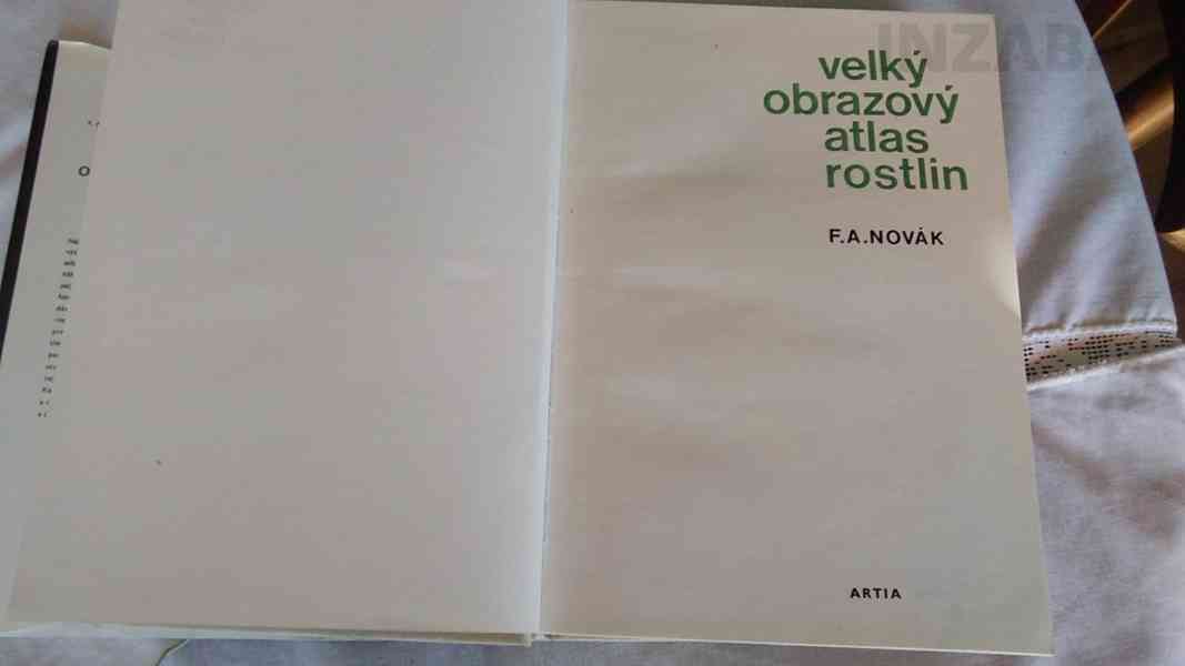 Velký obrazový atlas rostlin - foto 3