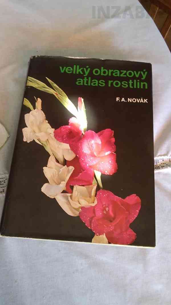 Velký obrazový atlas rostlin - foto 2