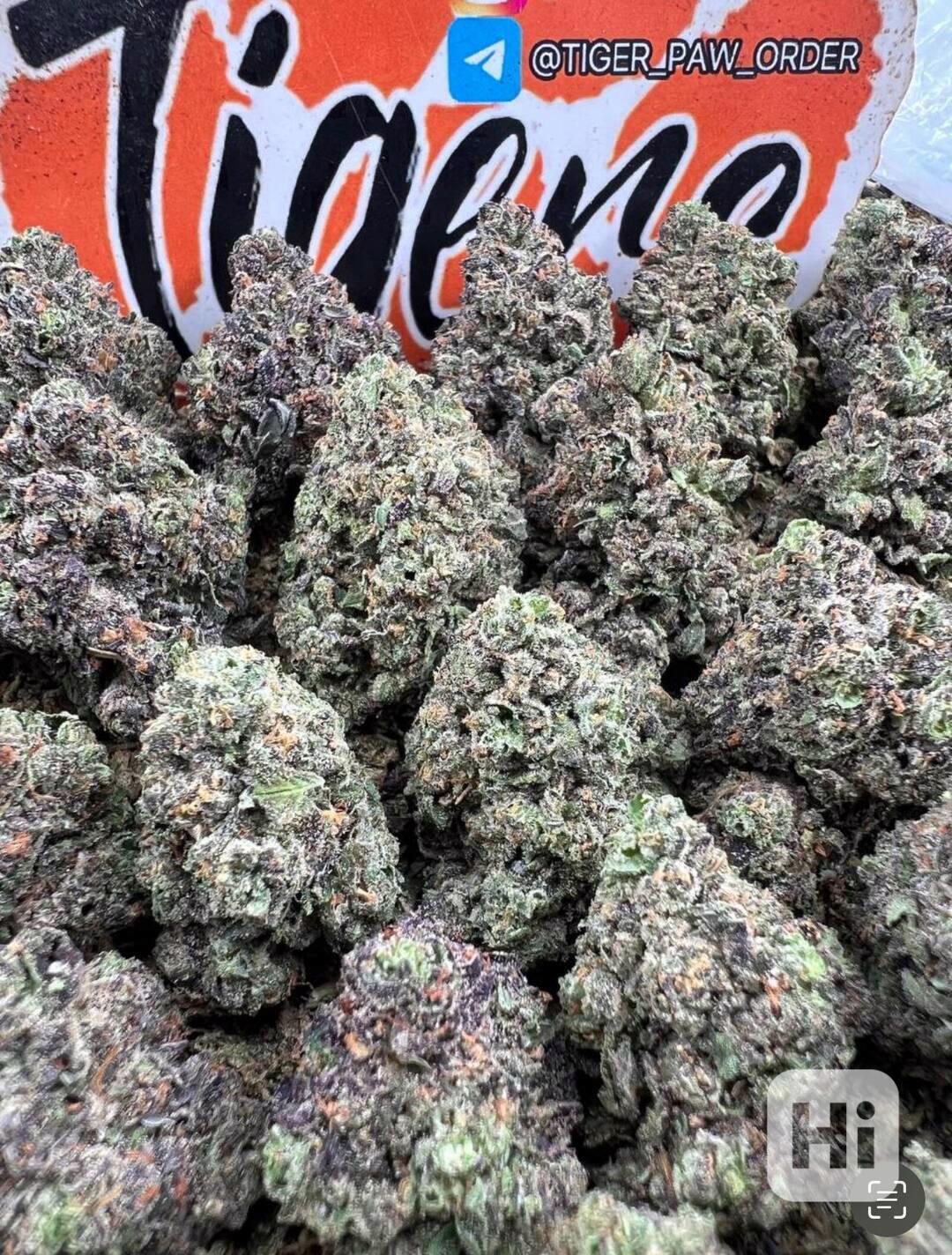 whatsapp +49 163 0221373 Buy Marijuana Germany Online - foto 1