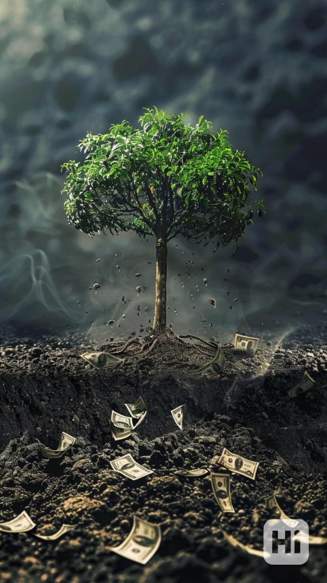 Půjčky snadno pro každého - foto 1