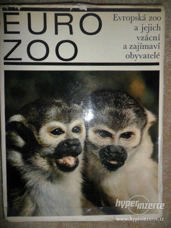 Prodám starou knihu o zvířatech v evropských zoo
