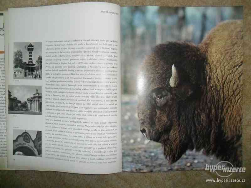 Prodám starou knihu o zvířatech v evropských zoo - foto 2