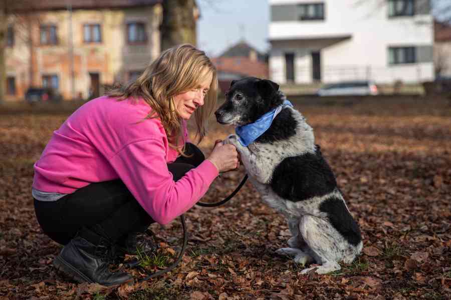 BERTÍČEK - 14 kg, kastrovaný psíček 13 let - foto 4