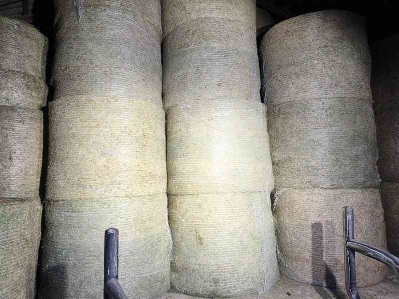 KVALITNÍ BIO SENO CERTIFIKOVANÉ SKLADOVANÉ S DOPRAVOU - foto 3