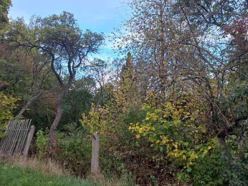 Náměšť nad Oslavou okres TR prodej stavebního pozemku - foto 8