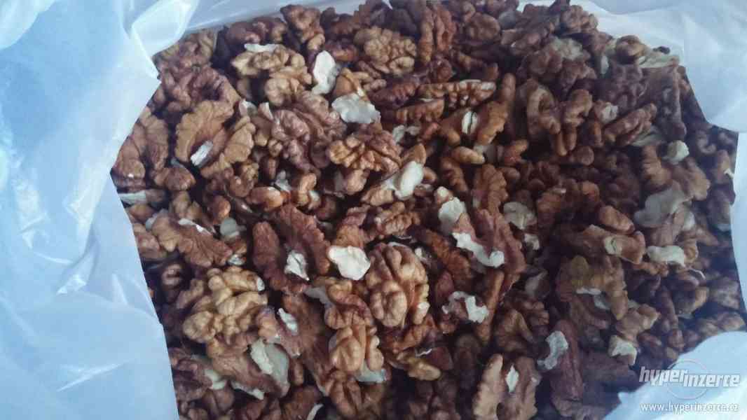 prodám vyloupané vlašské ořechy - foto 1