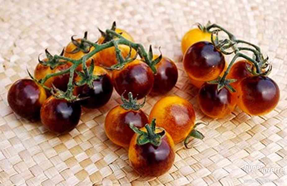 Rajče Blue Gold Berries - semena - foto 1