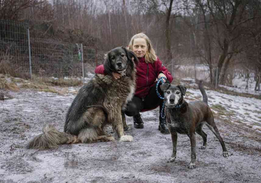 LEJLA - 13 kg, kastrovaná fenečka 13 let  - foto 5