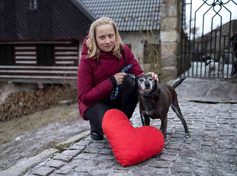 LEJLA - 13 kg, kastrovaná fenečka 13 let  - foto 3