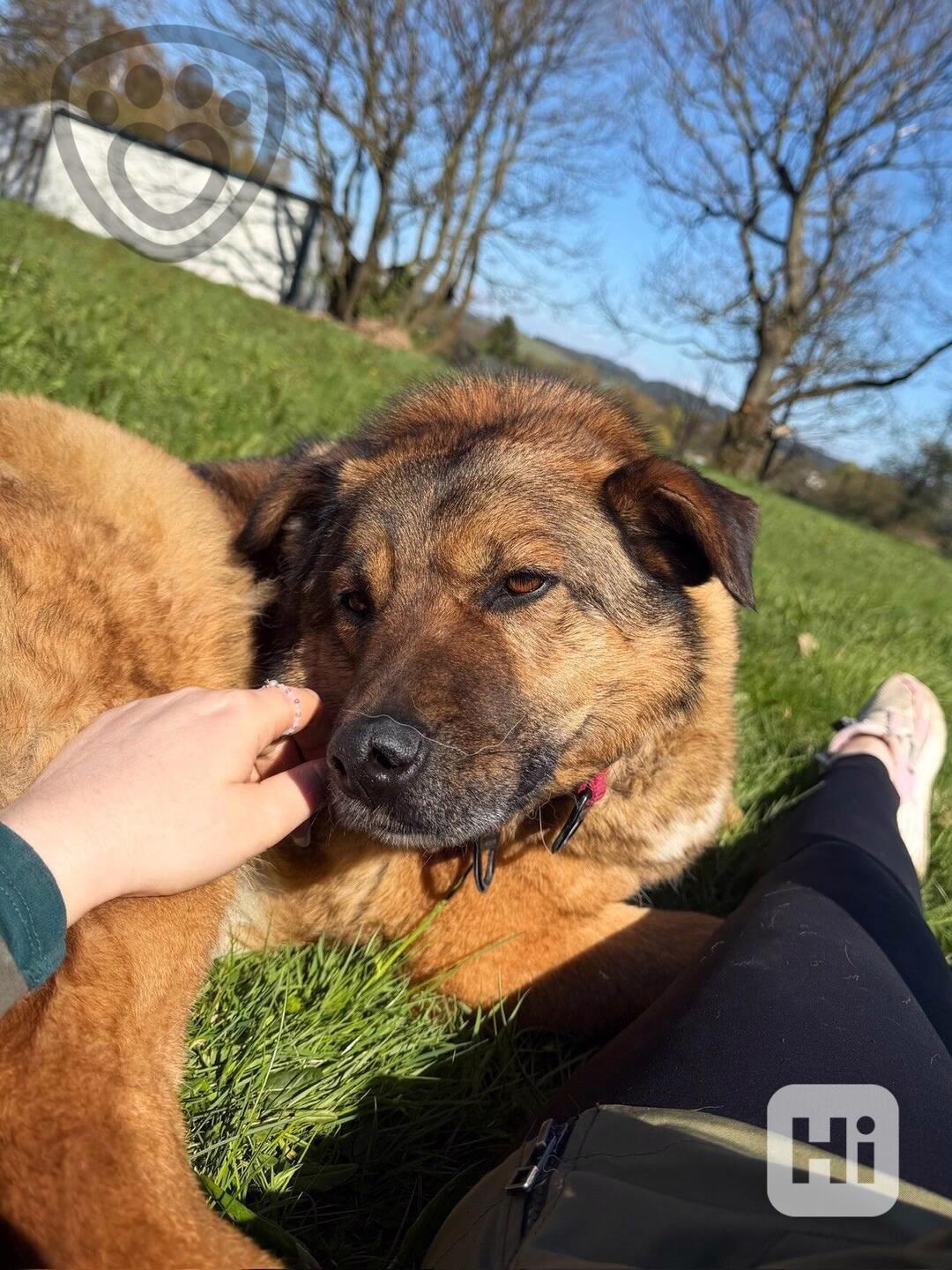 Guliana ❤ rozpustilá princezna ❤ - foto 1