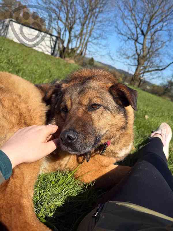 Guliana ❤ rozpustilá princezna ❤ - foto 1